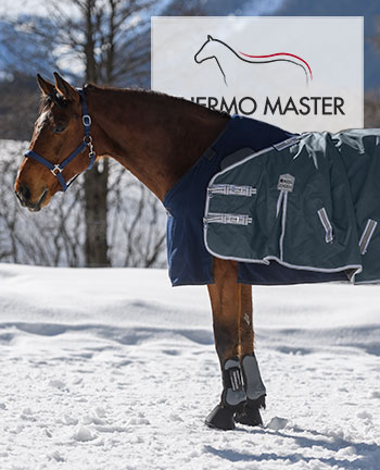 THERMO MASTER Combi-System-Dekens
