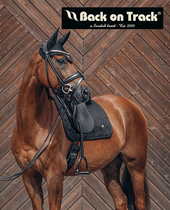 Back on Track paard