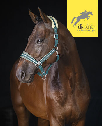 Felix Bhler halsters & touwen