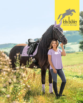 Felix Bhler collecties