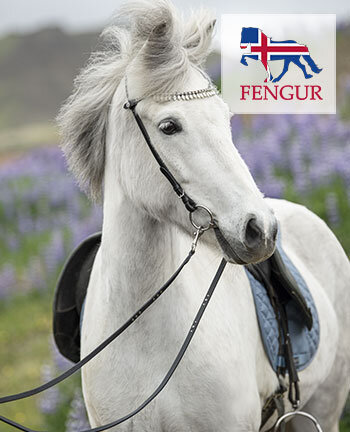 FENGUR paard