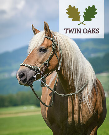 TWIN OAKS paard