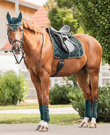Outfits voor paarden