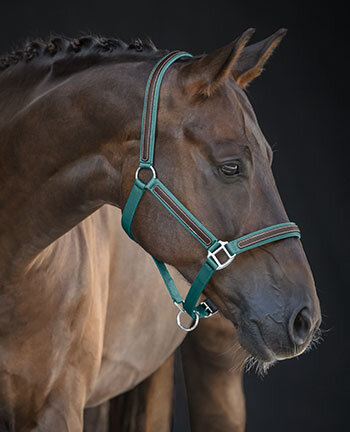 Dierentuin s nachts Tussen Grootte Paardenaccessoires voor de ruitersport online kopen | kramer.nl