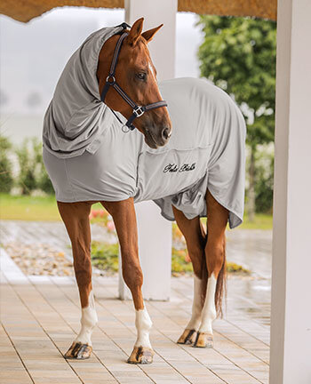 transfusie duisternis kapsel Paardendekens in de online shop | kramer.nl