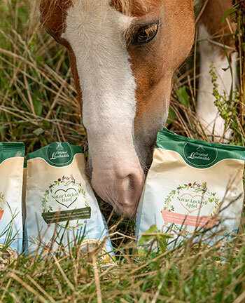 Paardensnoepjes