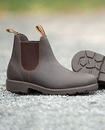 Rijschoenen & stalschoenen