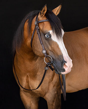 Western kopstuk & accessoires