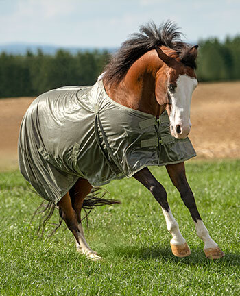 Western dekens & accessoires