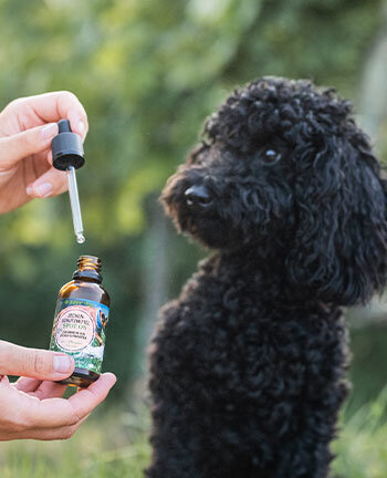 Verzorgingsproducten voor de hond