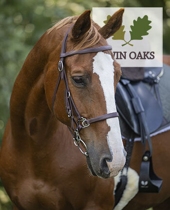 TWIN OAKS paard