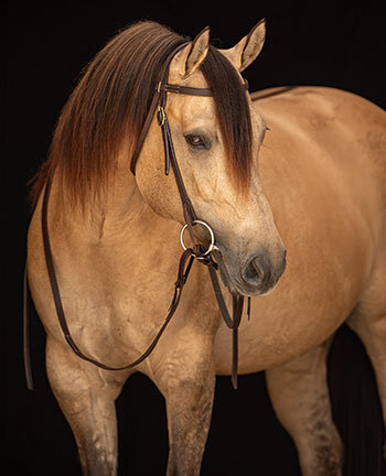 Western kopstuk & accessoires