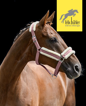 Felix B�hler halsters & touwen