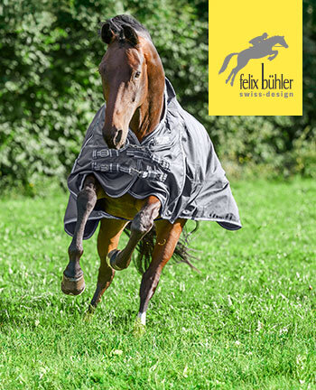 Felix B�hler paardendekens