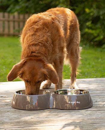 Hondenbakken & Reisaccessoires