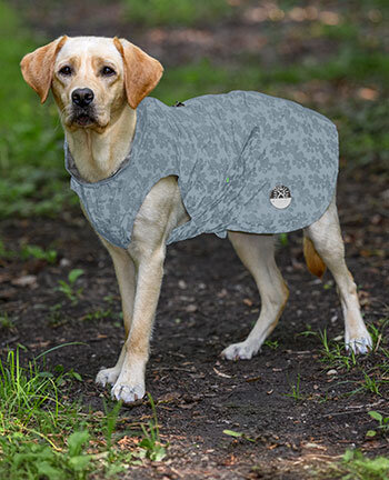 Reflecterende uitrusting hond