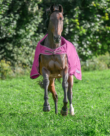 Stapmolen- & uitrijdekens