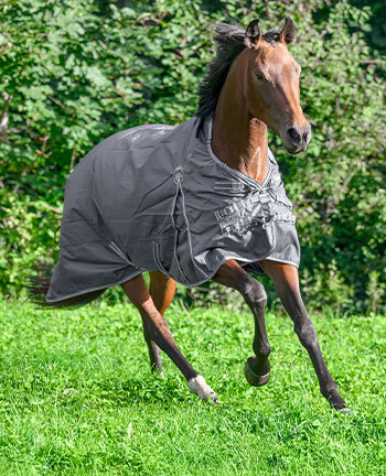 Regen- & winterdekens