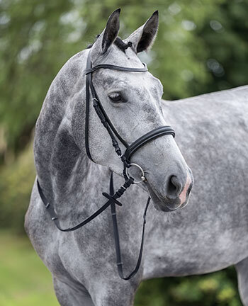 Hoofdstellen & toebehoren