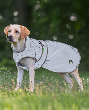 Reflecterende uitrusting hond