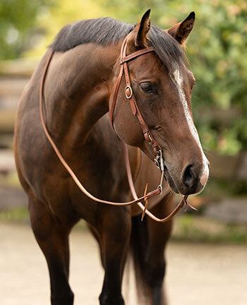 Western kopstuk & accessoires