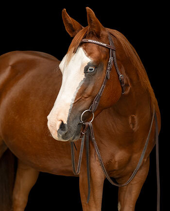 Mix & Match western hoofdstellen