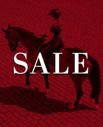 - SALE - Paardensport