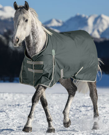 Paardendekens