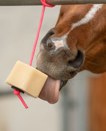 Voeding & voedingssupplementen