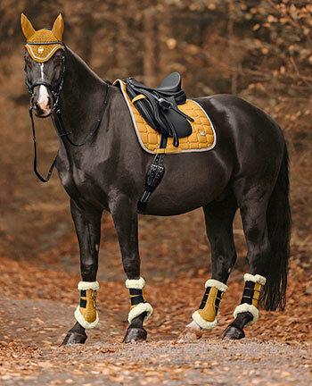 Outfits voor paarden