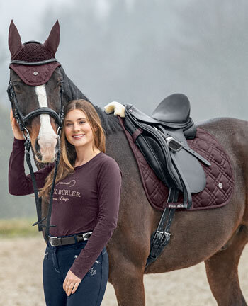 Setjes voor het paard