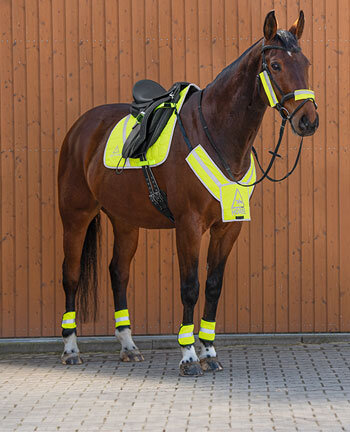 LED reflecterende singel USB - STEEDS reflecterende accessoires - Paardensport