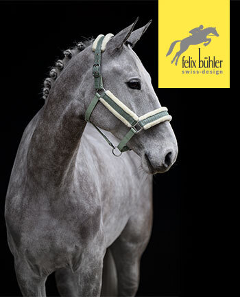 Felix Bhler halsters & touwen