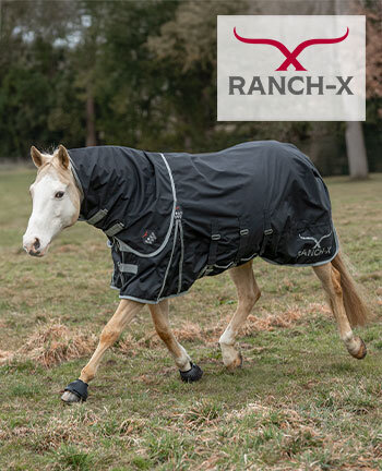 RANCH-X paard
