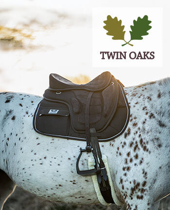 TWIN OAKS paard