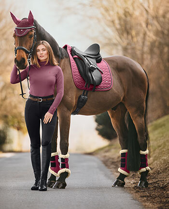 Paard