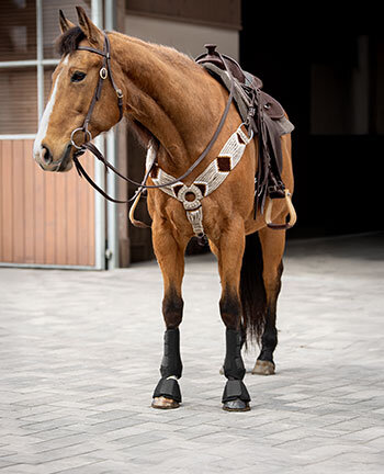 Westernpaarden
