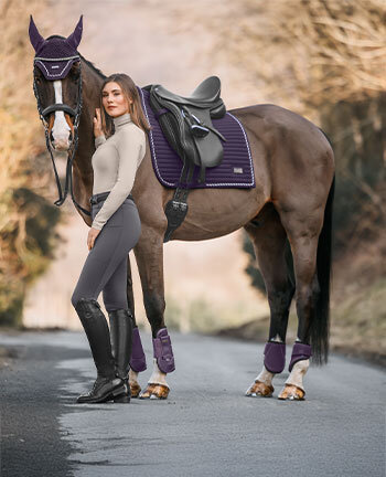 Felix Bühler F-021 18K &Titanium Aktuelle Felix Bühler collecties voor paard en pony op