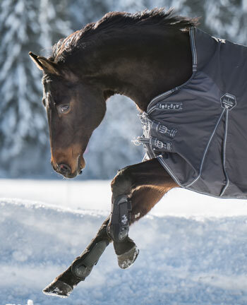 Paardendekens