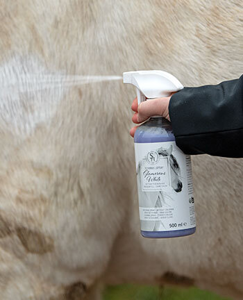 Shampoos & droogshampoos