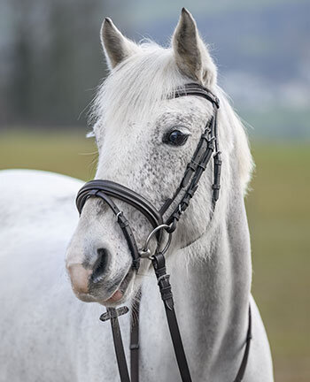Pony hoofdstellen