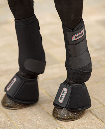 Western horse boots