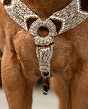 Western voortuigen Western voortuigen