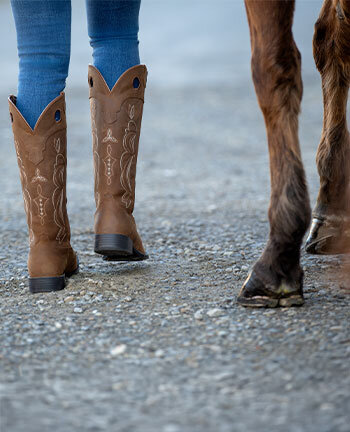 Western laarzen, chaps & sporen