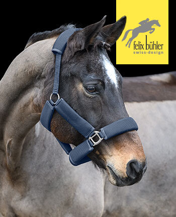 Felix B�hler halsters & touwen