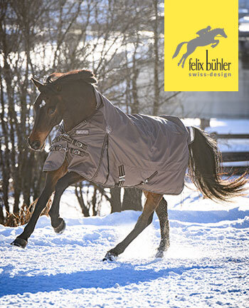 Felix B�hler paardendekens