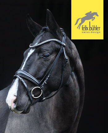 Felix B�hler hoofdstellen