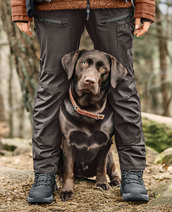 Hond