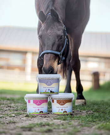Paardenvoer & voedingssupplementen