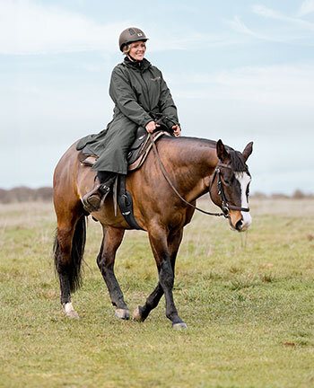 Buitenrit toebehoren